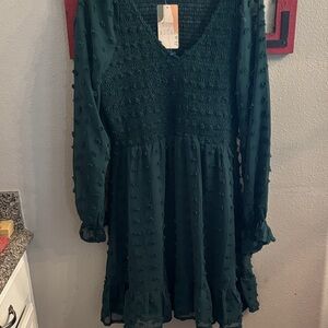 Nwt BTFBM Elegant Green Dress long sleeve Swiss dot